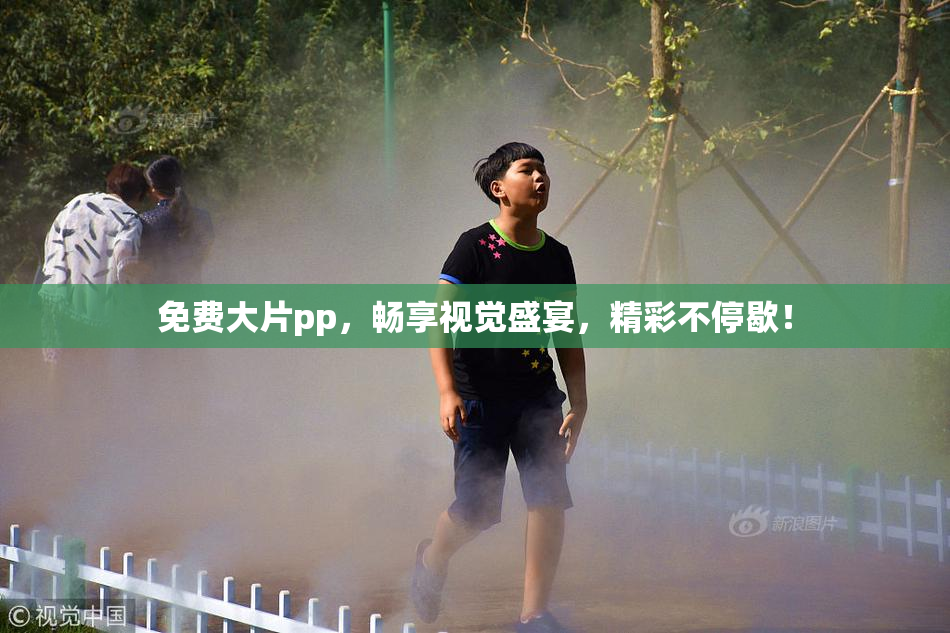 免费大片pp，畅享视觉盛宴，精彩不停歇！
