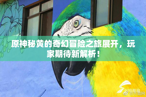 原神秘黄的奇幻冒险之旅展开，玩家期待新解析！