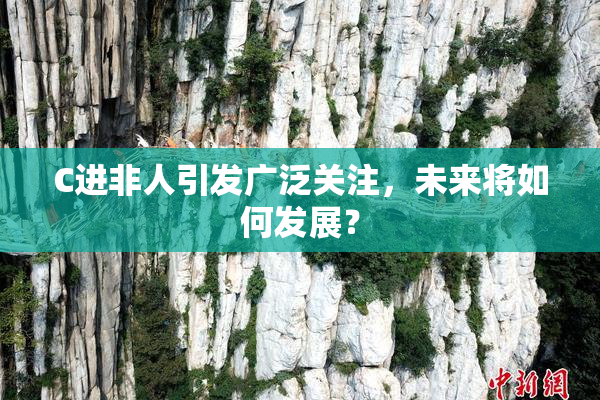 C进非人引发广泛关注，未来将如何发展？