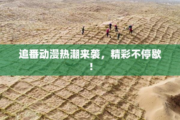 追番动漫热潮来袭，精彩不停歇！