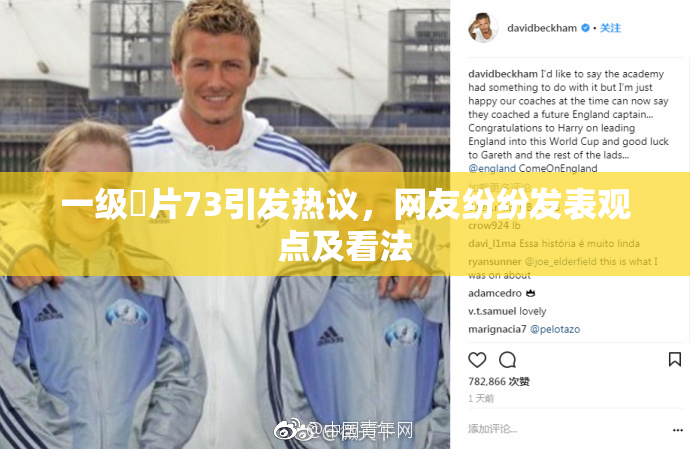 一级婬片73引发热议，网友纷纷发表观点及看法