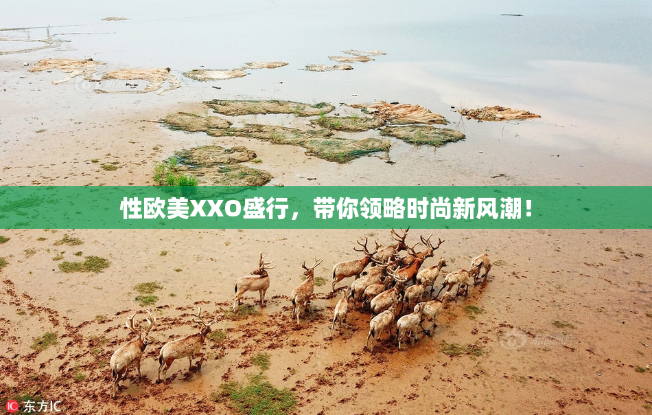性欧美XXO盛行，带你领略时尚新风潮！