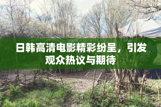 日韩高清电影精彩纷呈，引发观众热议与期待