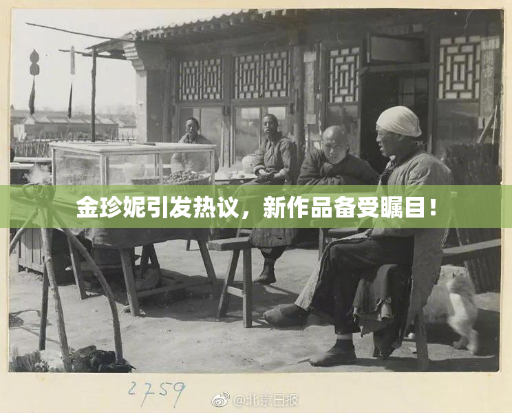 金珍妮引发热议，新作品备受瞩目！