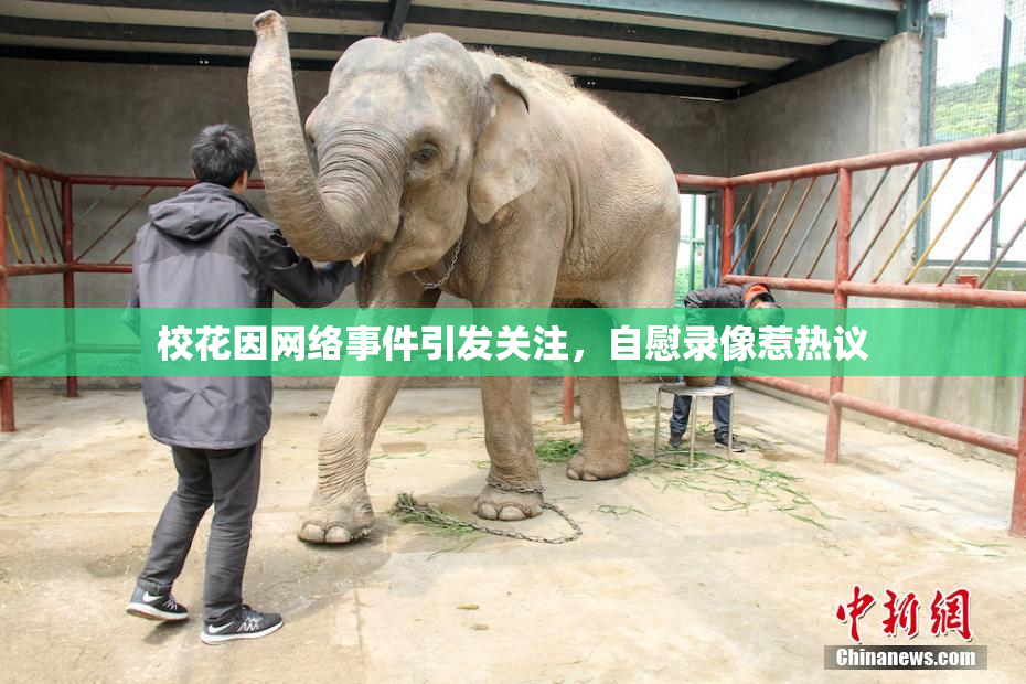 校花因网络事件引发关注，自慰录像惹热议