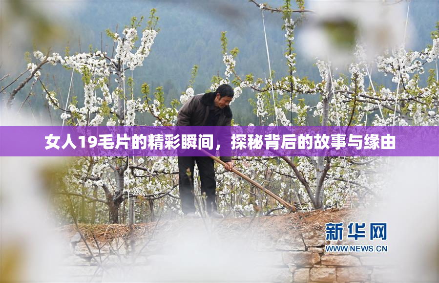 女人19毛片的精彩瞬间，探秘背后的故事与缘由