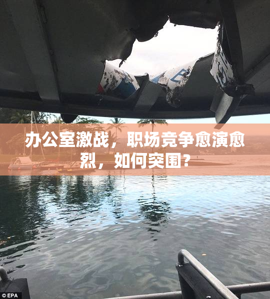 办公室激战，职场竞争愈演愈烈，如何突围？