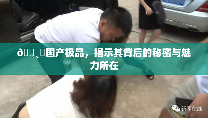 🌸‌国产极品，揭示其背后的秘密与魅力所在