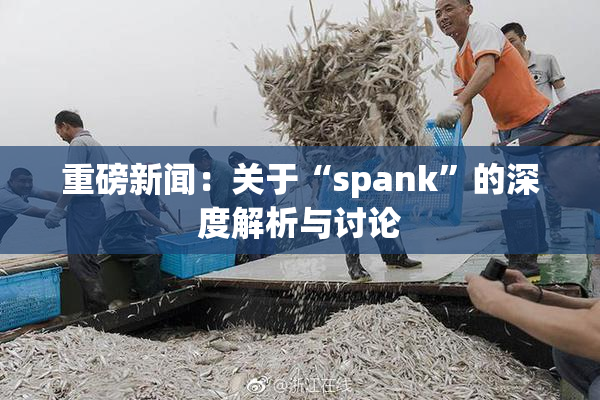 重磅新闻：关于“spank”的深度解析与讨论