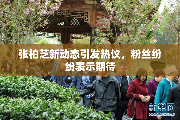张柏芝新动态引发热议，粉丝纷纷表示期待