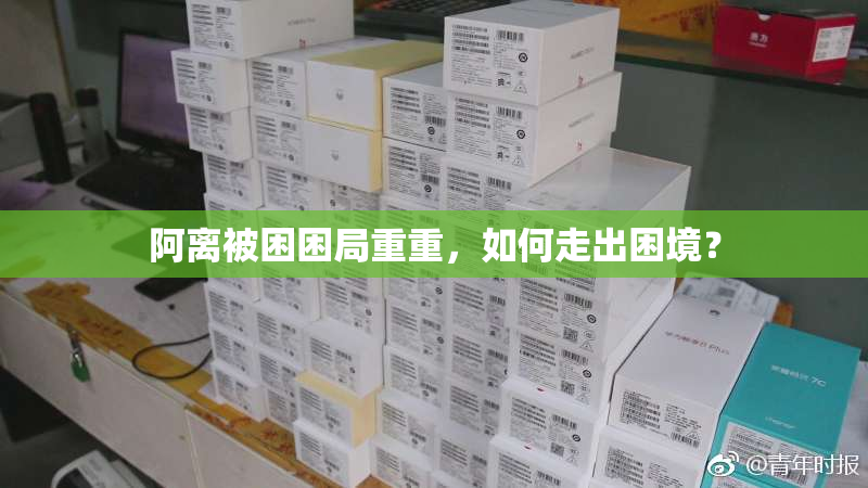 阿离被困困局重重，如何走出困境？