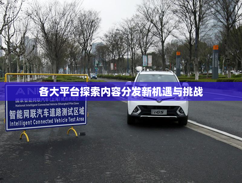 各大平台探索内容分发新机遇与挑战