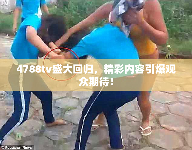 4788tv盛大回归，精彩内容引爆观众期待！
