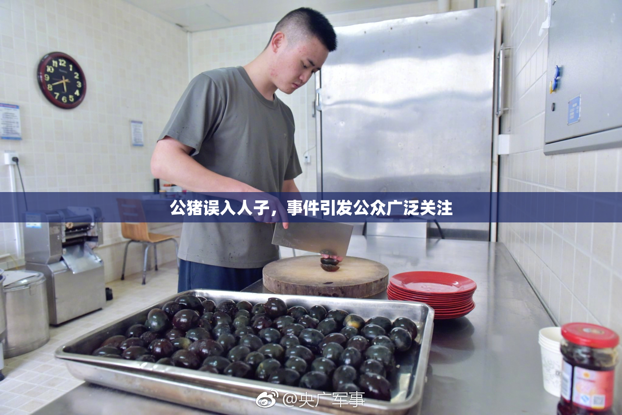 公猪误入人子，事件引发公众广泛关注