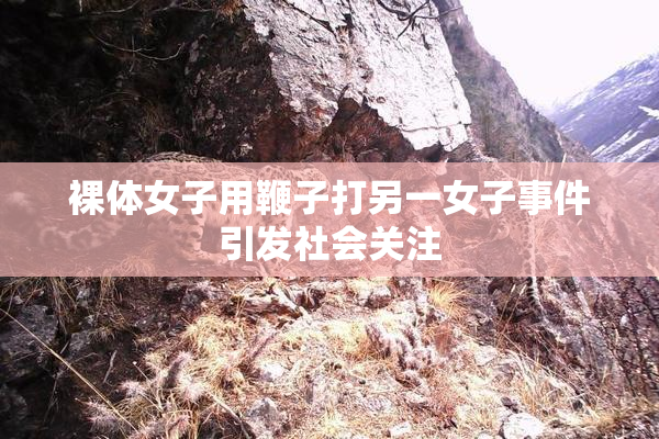 裸体女子用鞭子打另一女子事件引发社会关注
