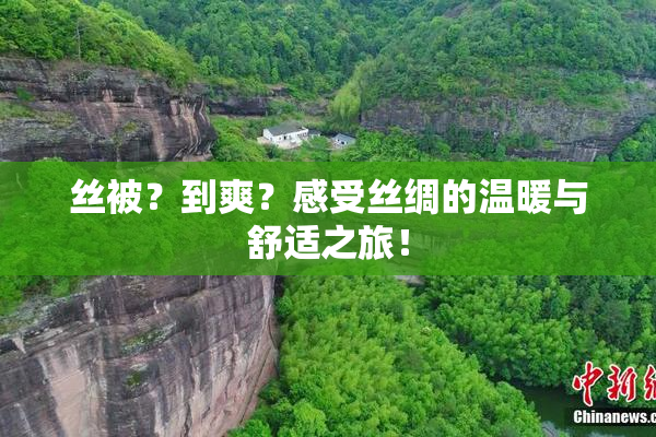 丝被？到爽？感受丝绸的温暖与舒适之旅！