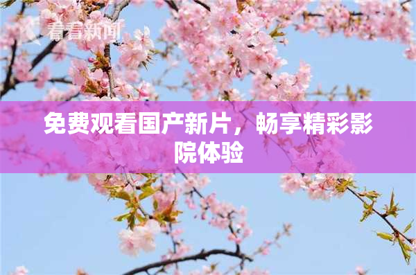 免费观看国产新片，畅享精彩影院体验