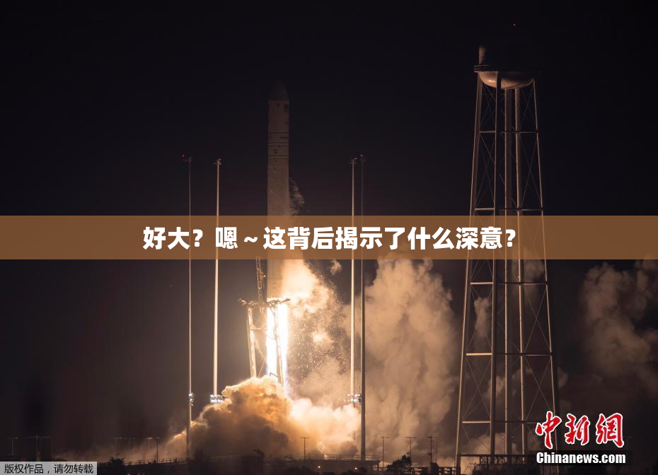 好大？嗯～这背后揭示了什么深意？
