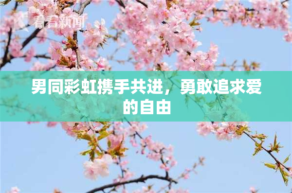 男同彩虹携手共进，勇敢追求爱的自由