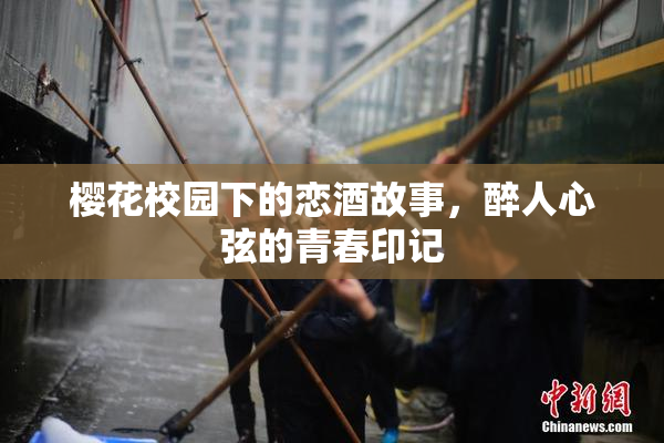 樱花校园下的恋酒故事，醉人心弦的青春印记