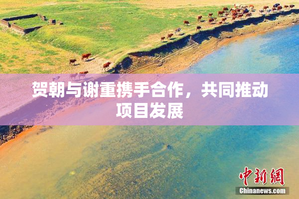 贺朝与谢重携手合作，共同推动项目发展