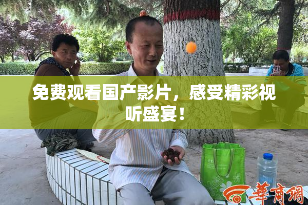免费观看国产影片，感受精彩视听盛宴！