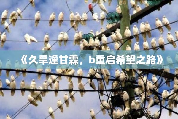 《久旱逢甘霖，b重启希望之路》