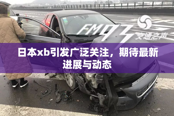 日本xb引发广泛关注，期待最新进展与动态