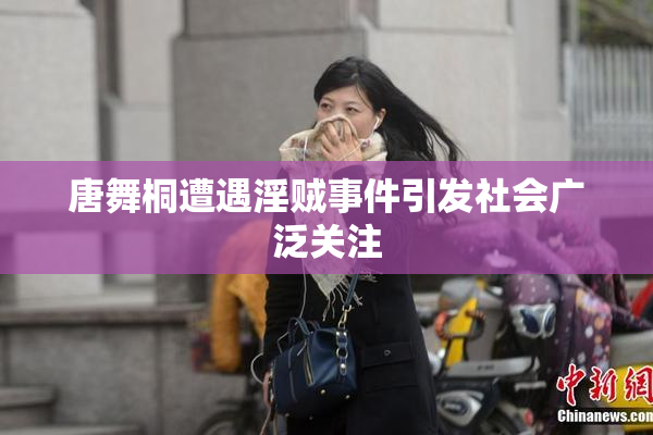 唐舞桐遭遇淫贼事件引发社会广泛关注