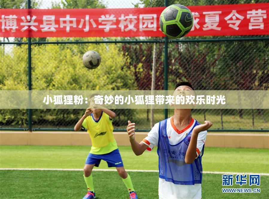小狐狸粉：奇妙的小狐狸带来的欢乐时光
