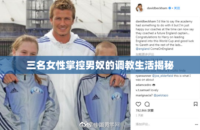 三名女性掌控男奴的调教生活揭秘