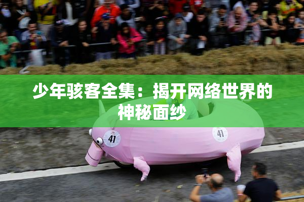 少年骇客全集：揭开网络世界的神秘面纱