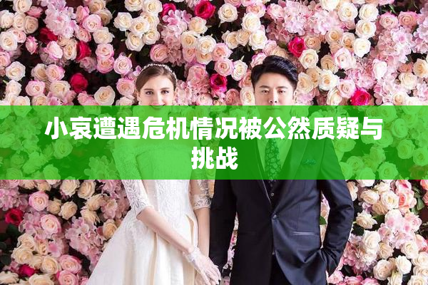 小哀遭遇危机情况被公然质疑与挑战