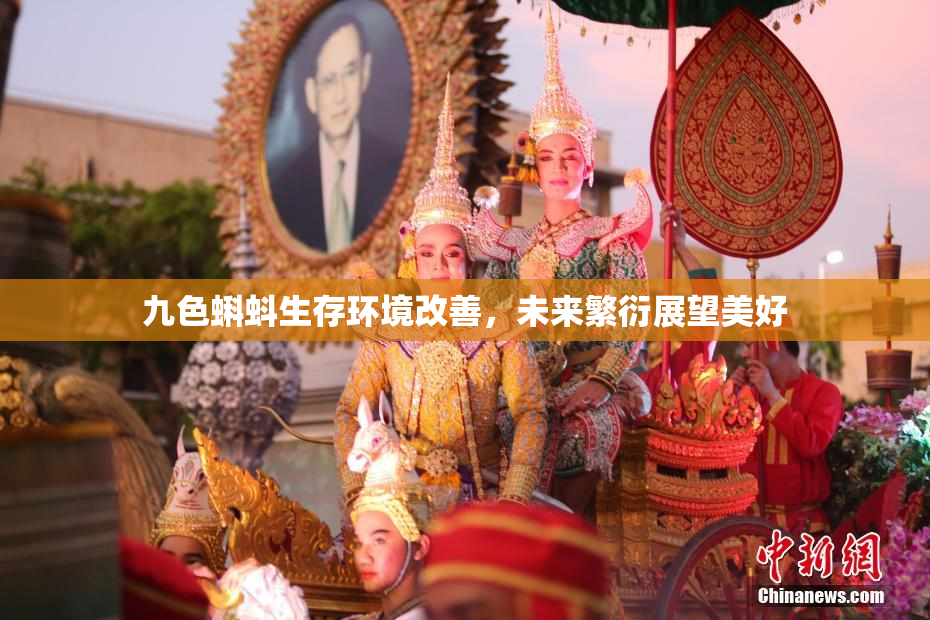 九色蝌蚪生存环境改善，未来繁衍展望美好