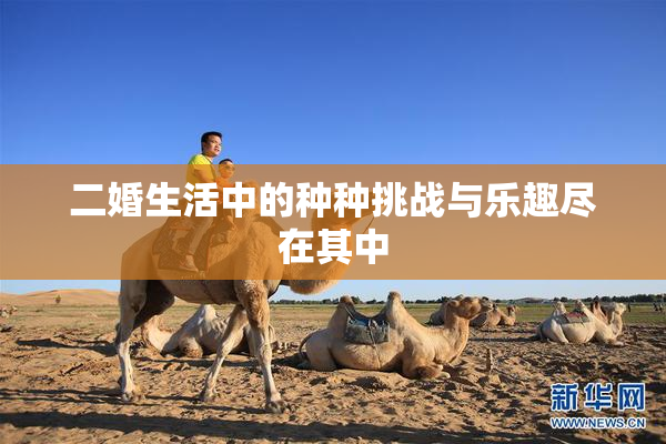 二婚生活中的种种挑战与乐趣尽在其中