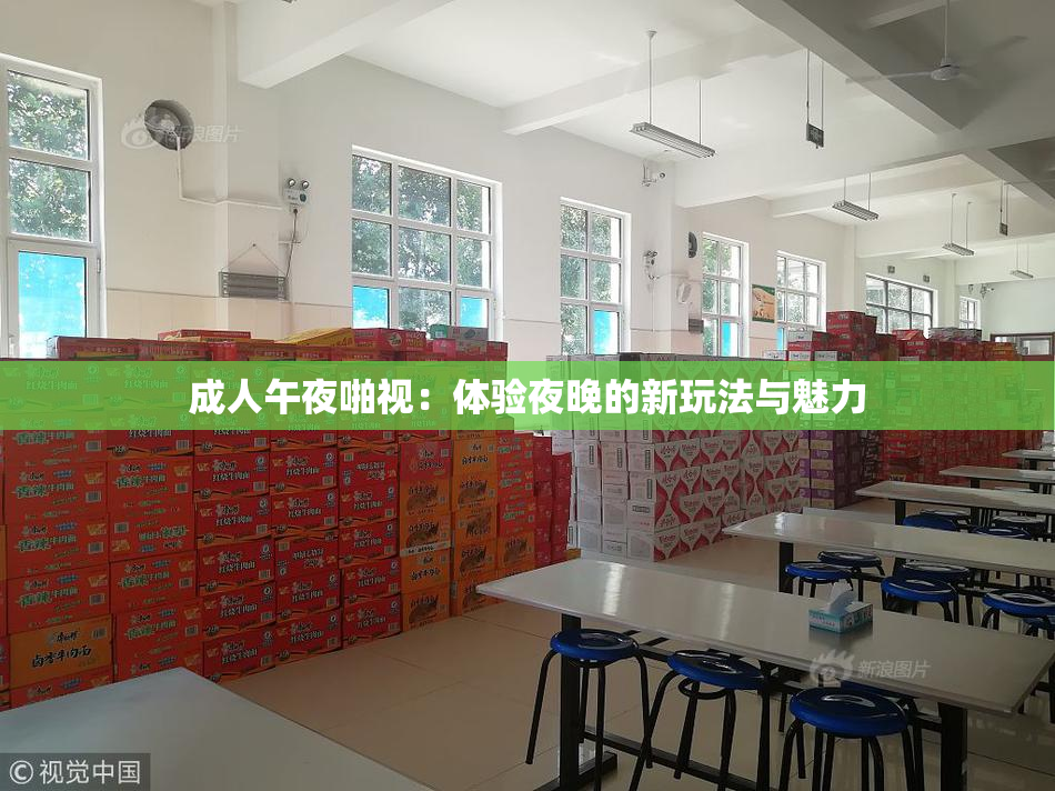 成人午夜啪视：体验夜晚的新玩法与魅力
