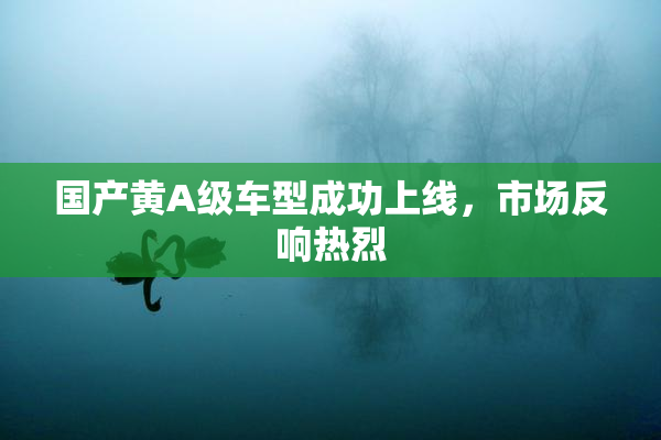 国产黄A级车型成功上线，市场反响热烈