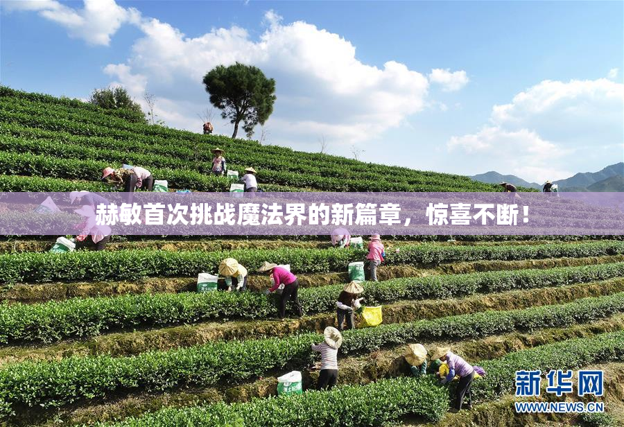 赫敏首次挑战魔法界的新篇章，惊喜不断！