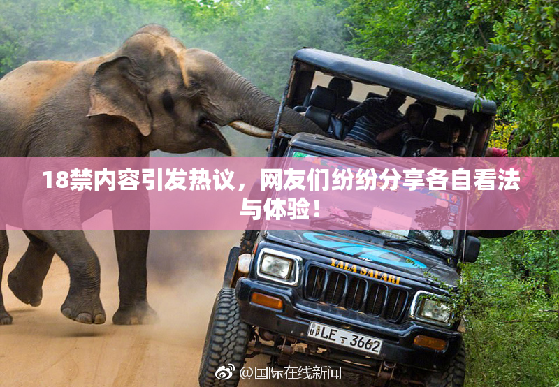 18禁内容引发热议，网友们纷纷分享各自看法与体验！