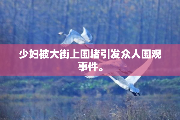 少妇被大街上围堵引发众人围观事件。