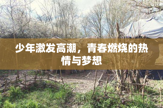 少年激发高潮，青春燃烧的热情与梦想