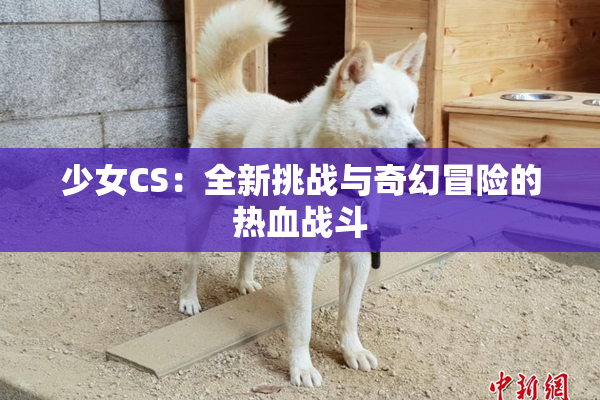 少女CS：全新挑战与奇幻冒险的热血战斗