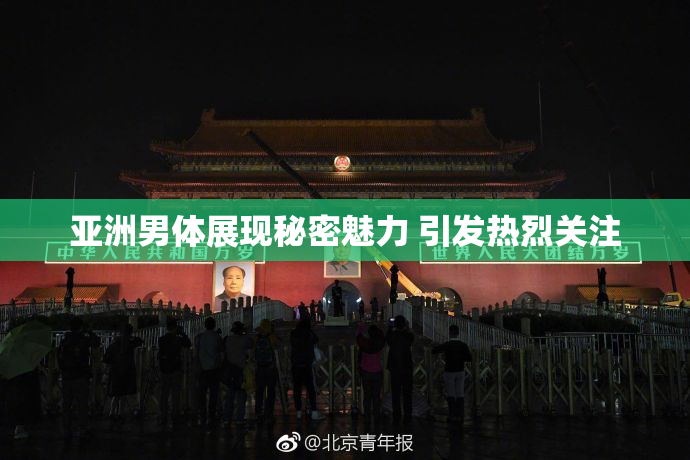 亚洲男体展现秘密魅力 引发热烈关注