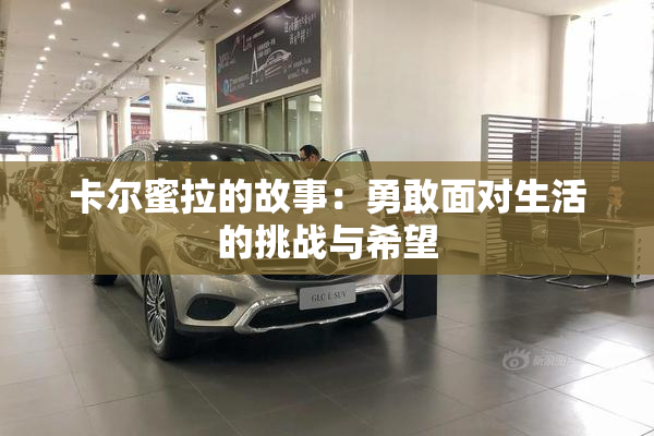 卡尔蜜拉的故事：勇敢面对生活的挑战与希望
