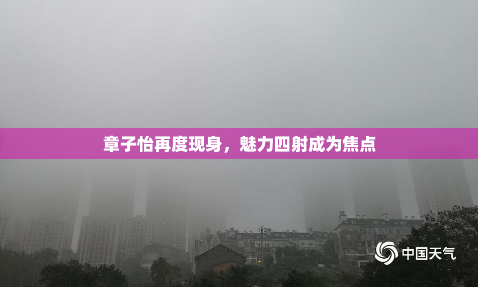 章子怡再度现身，魅力四射成为焦点