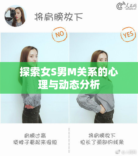 探索女S男M关系的心理与动态分析
