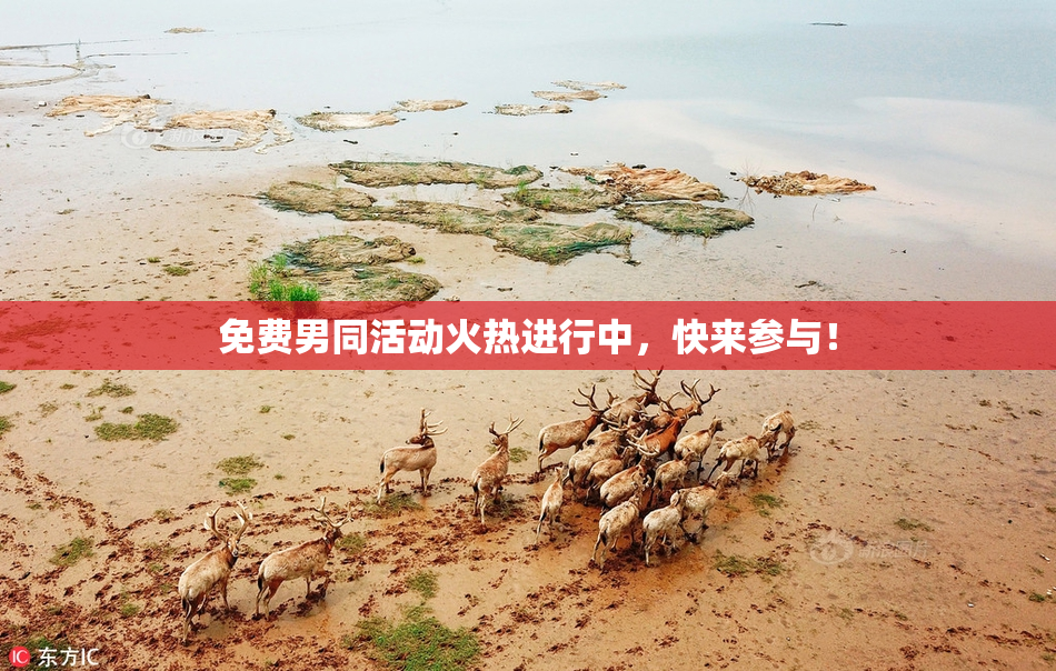 免费男同活动火热进行中，快来参与！