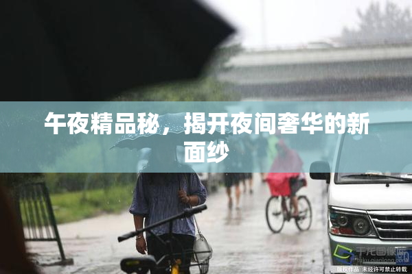 午夜精品秘，揭开夜间奢华的新面纱