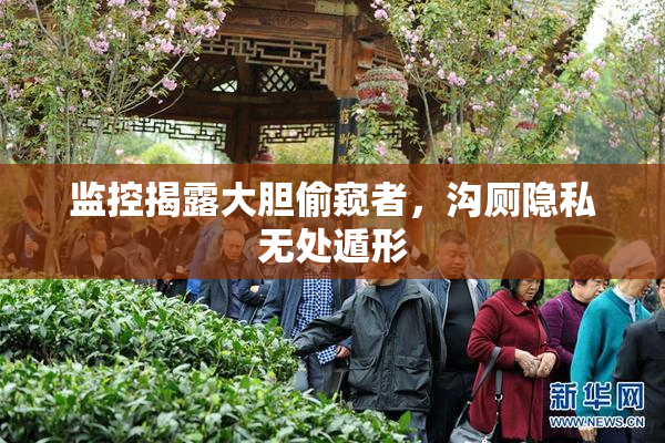监控揭露大胆偷窥者，沟厕隐私无处遁形