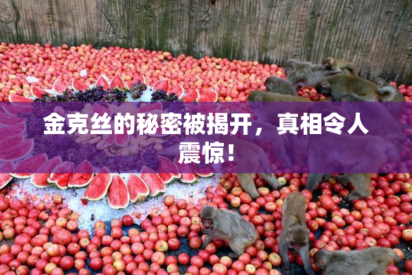 金克丝的秘密被揭开，真相令人震惊！